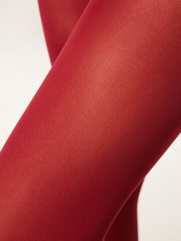 CALZEDONIA Tights in Red