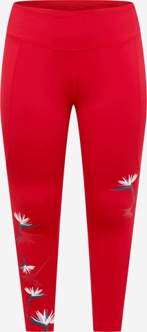 Pantaloni sportivi 'Thebe Magugu Studio ' di ADIDAS SPORTSWEAR in rosso: frontale