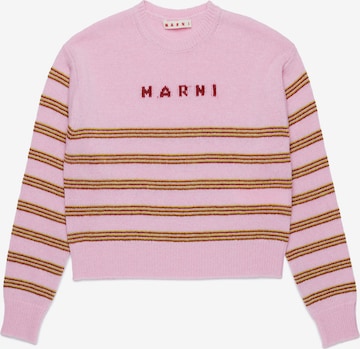 purpurinė Marni Megztinis: priekis