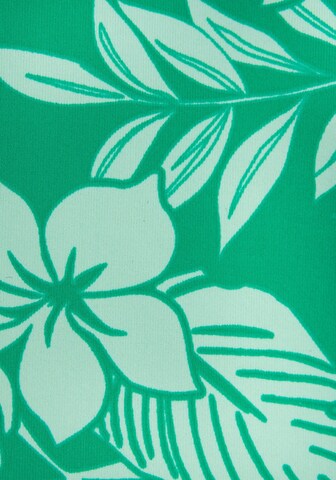 VENICE BEACH Bandeau Bikini Top in Green