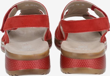 ARA Sandale in Rot