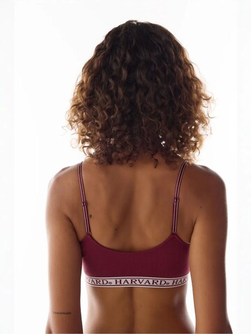 Classique Soutien-gorge 'BHs & Bralettes' Penti en rouge