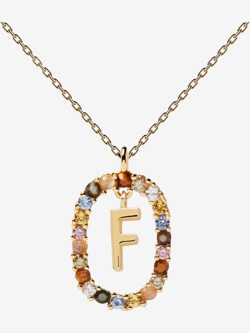 P D PAOLA Necklace in Gold