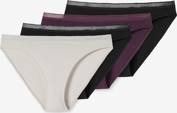 SCHIESSER Panty ' Cotton Lace ' in Mixed colors: front