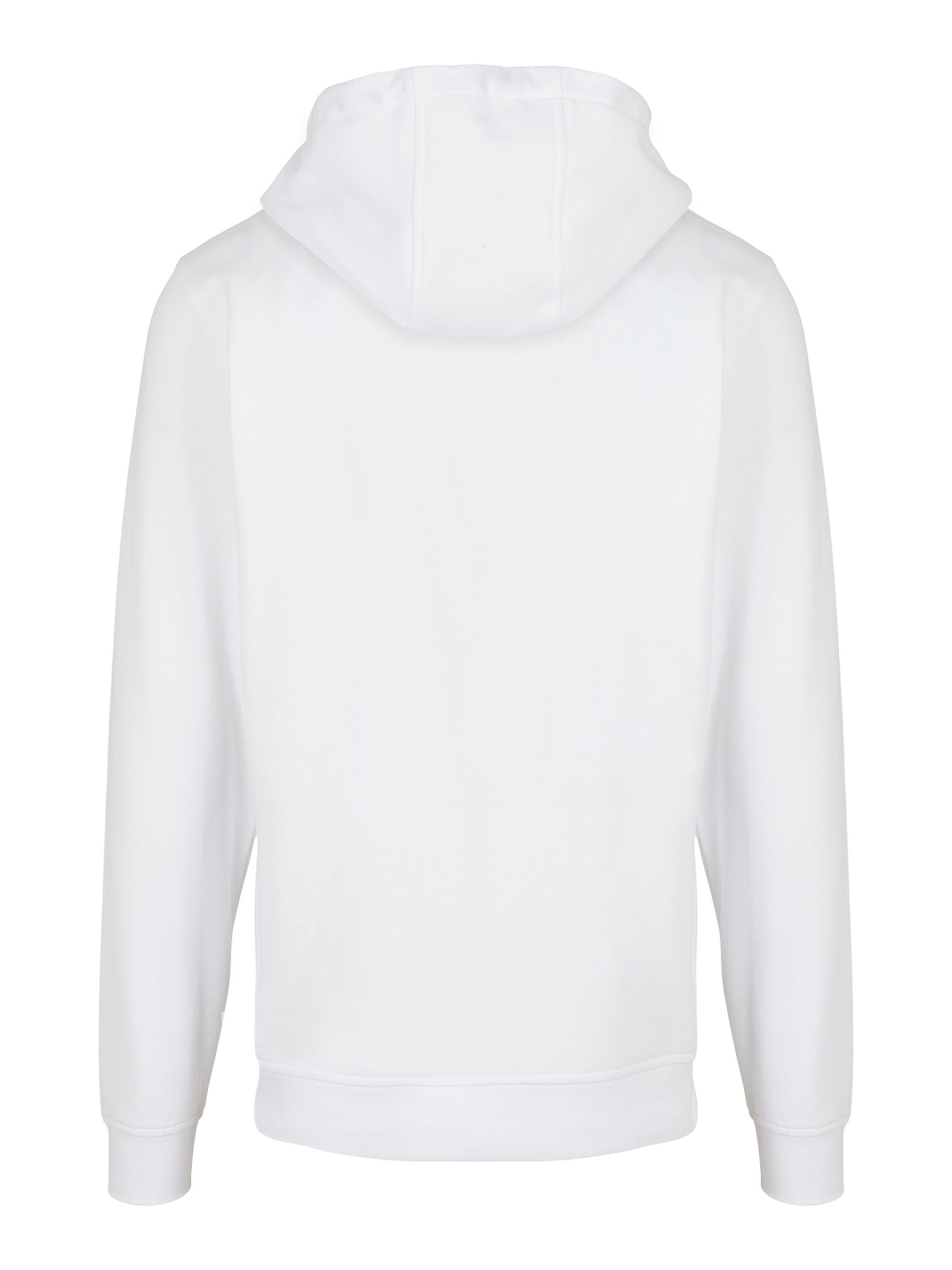 F4NT4STIC Sweatshirt 'Looney Tunes Wile E Coyote Colour Code' in Wit