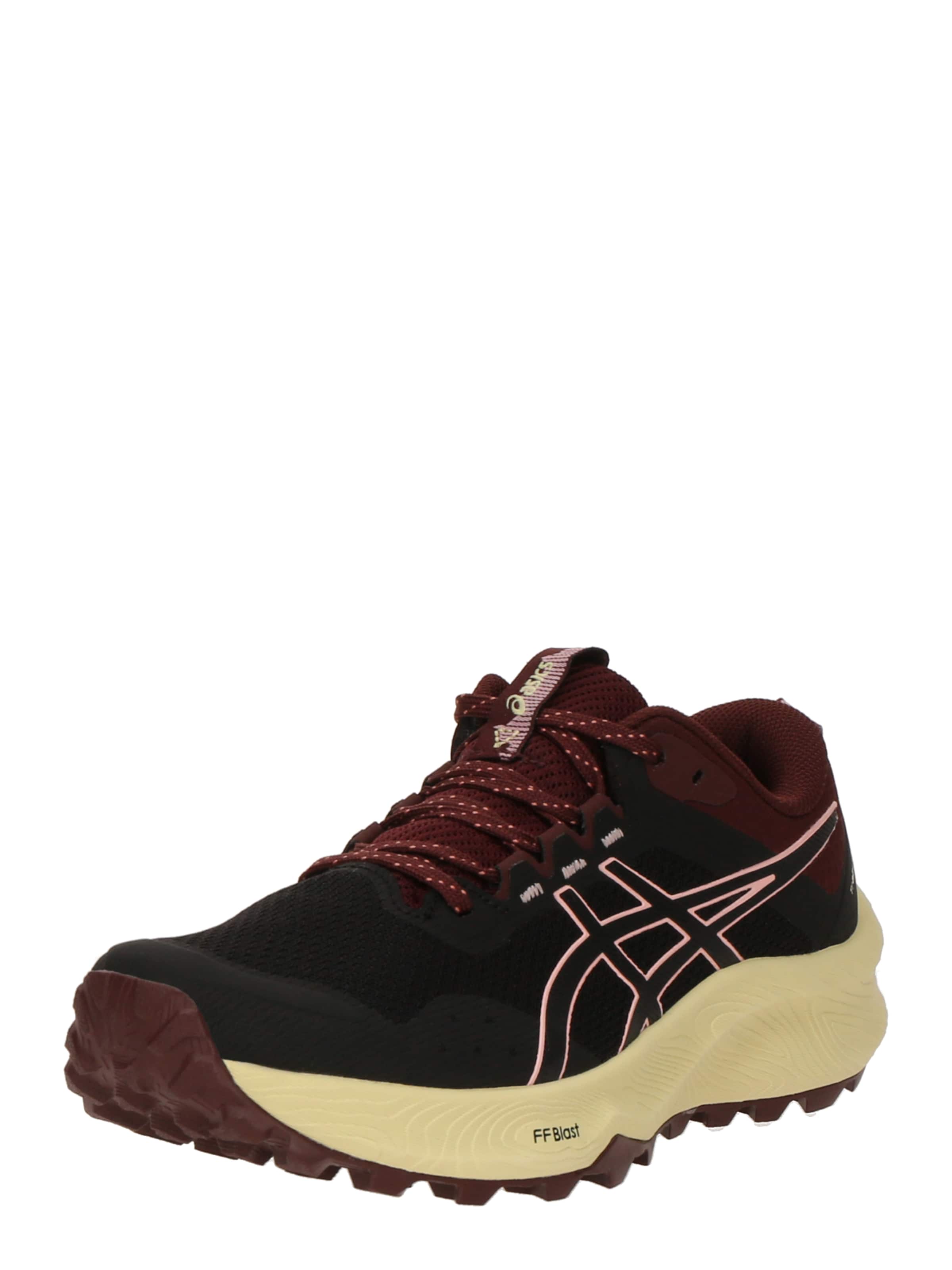 ASICS Sportschoen &#x27;Trabuco Terra 3&#x27; in Zwart: voorkant