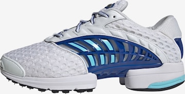 Baskets basses ADIDAS ORIGINALS en blanc : devant