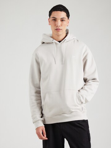 Regular fit Felpa di Iriedaily in grigio: frontale