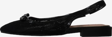 Ballerina di Stephan in nero: frontale