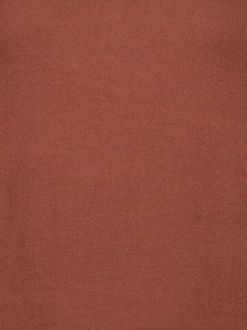 BLUE SEVEN Sweater in Brown