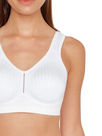 SUSA BH 'Cremona' in Weiß