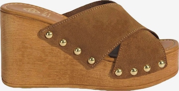 Desa Slipper in Brown: front