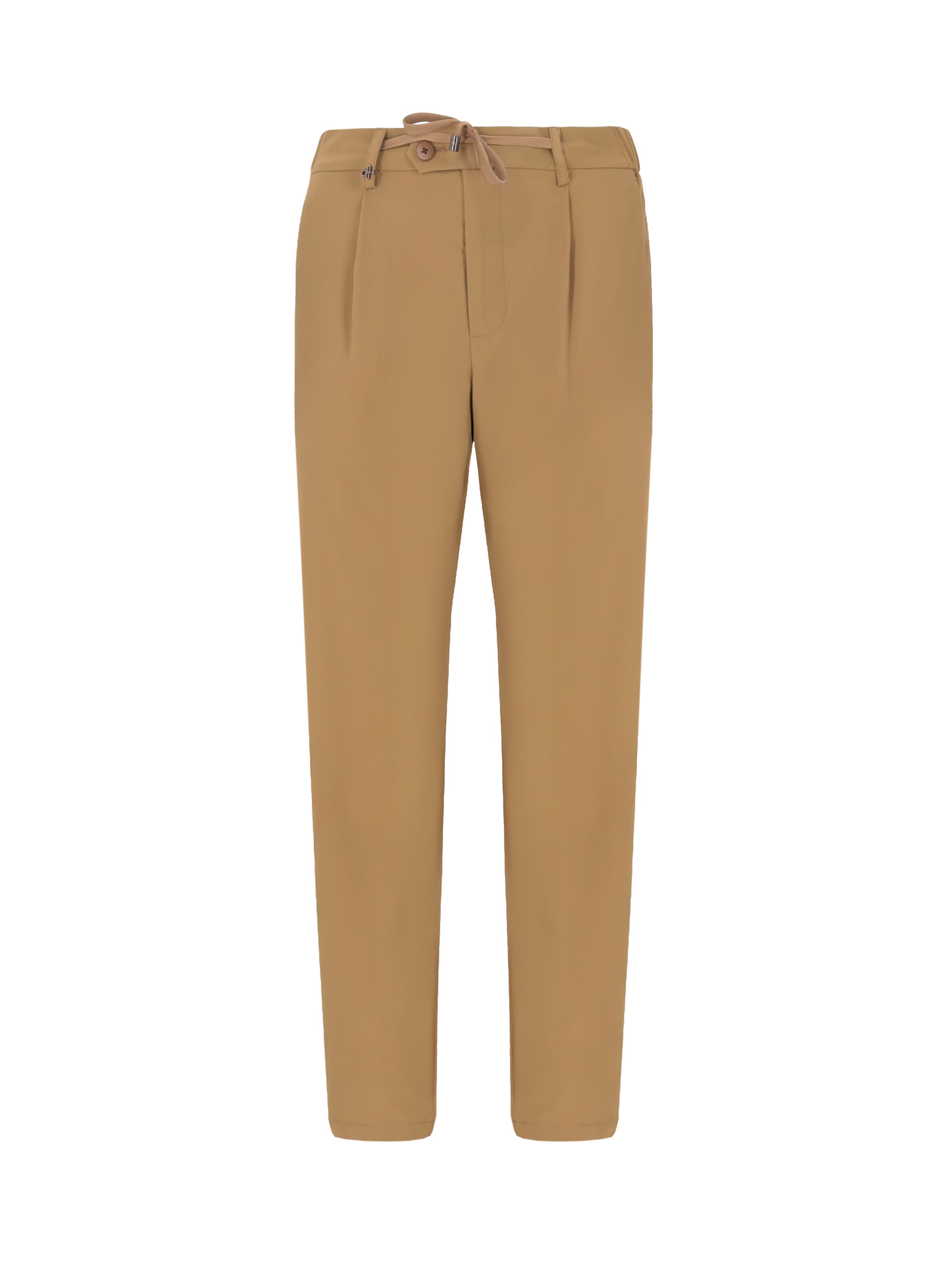 Regular Pantalon à pince 'T. ACTIVE' Distretto12 en marron : devant