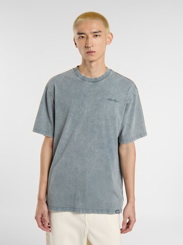 T-Shirt 'Plentywood' DICKIES en gris : devant