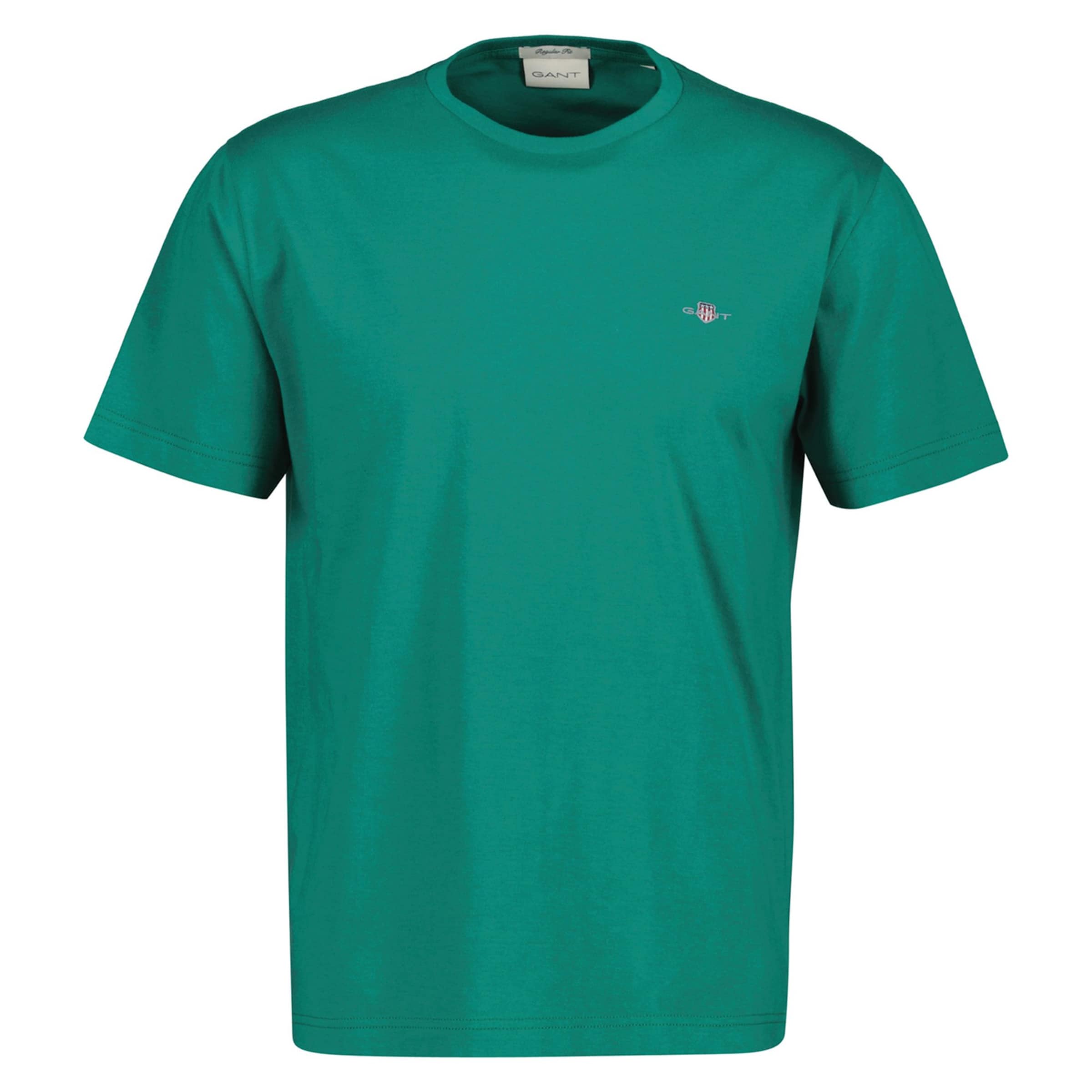 GANT Shirt in Green: front