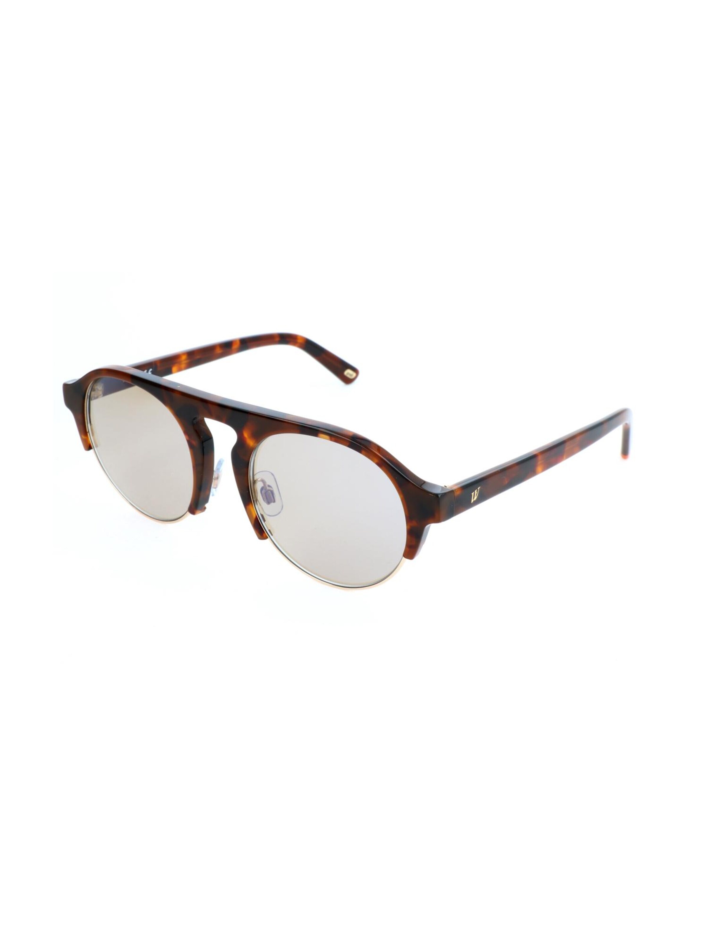 Occhiali da sole 'WE0224' di Web Eyewear in marrone: frontale