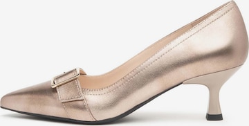 Escarpins 'Lunar Tpu Cirno Cleto' Nero Giardini en or : devant