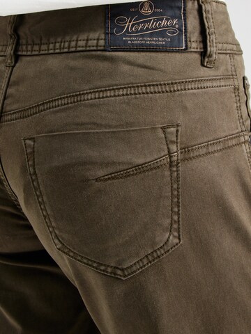 Herrlicher - Bootcut Pantalón 'Edna' en verde