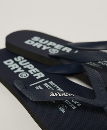 Superdry Zehentrenner in Blau