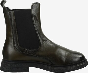 TT. BAGATT Chelsea Boots in Green