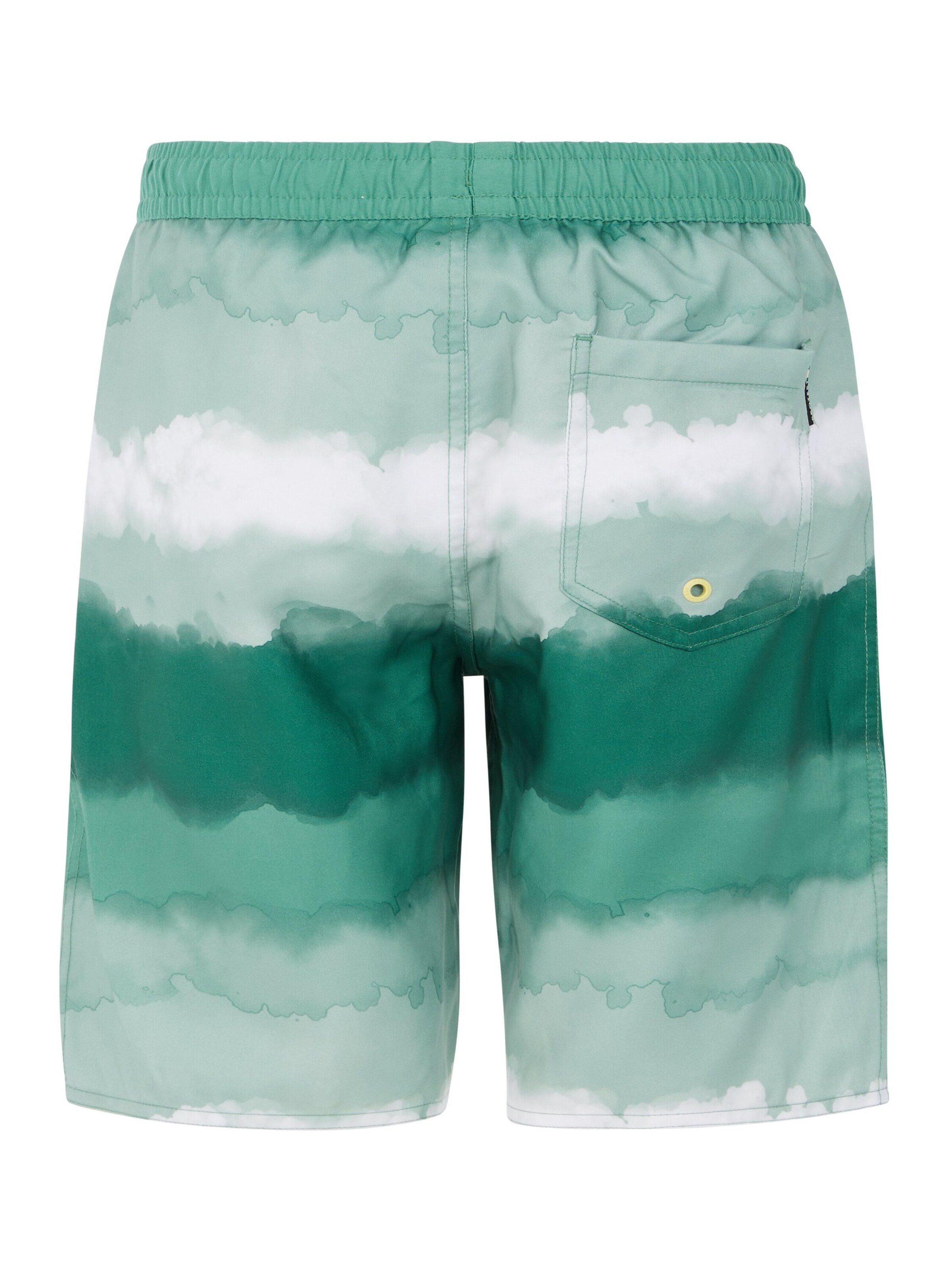 PROTEST Board Shorts 'PRTABEL JR' in Green