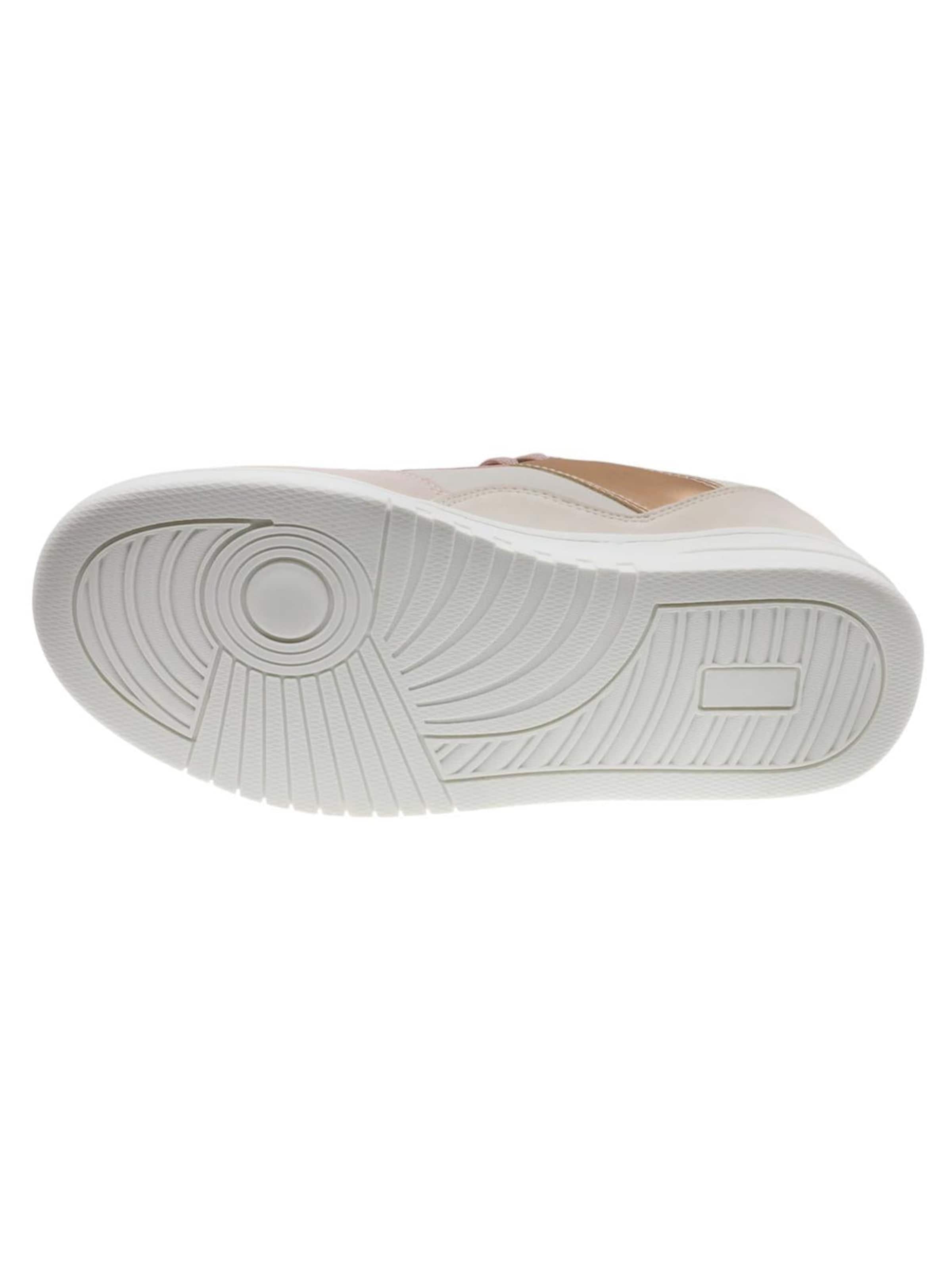Beppi Sneaker‌‌‌‌‌‌‌‌ in Pink