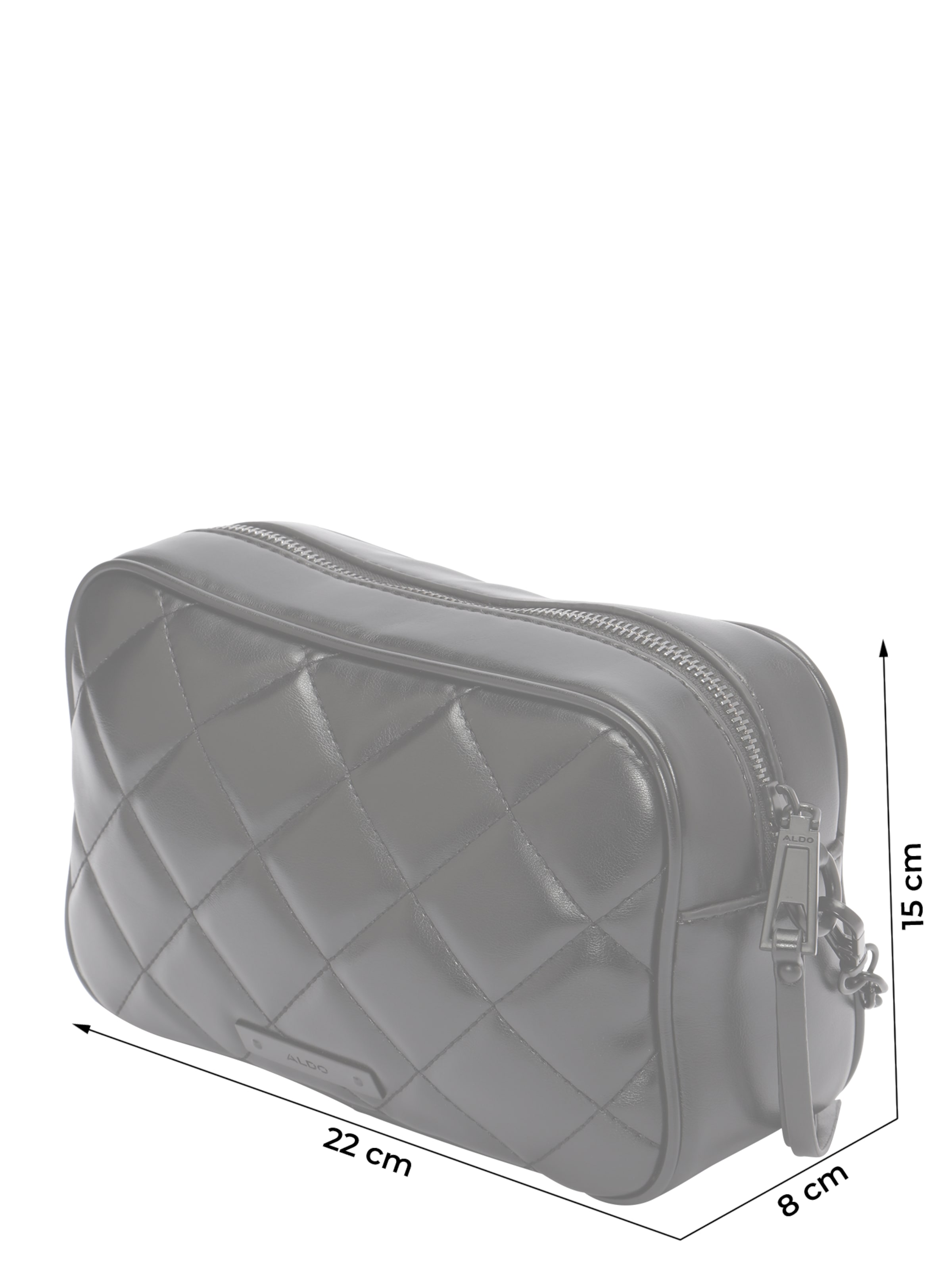 ALDO Axelremsväska 'EVELIA' i svart