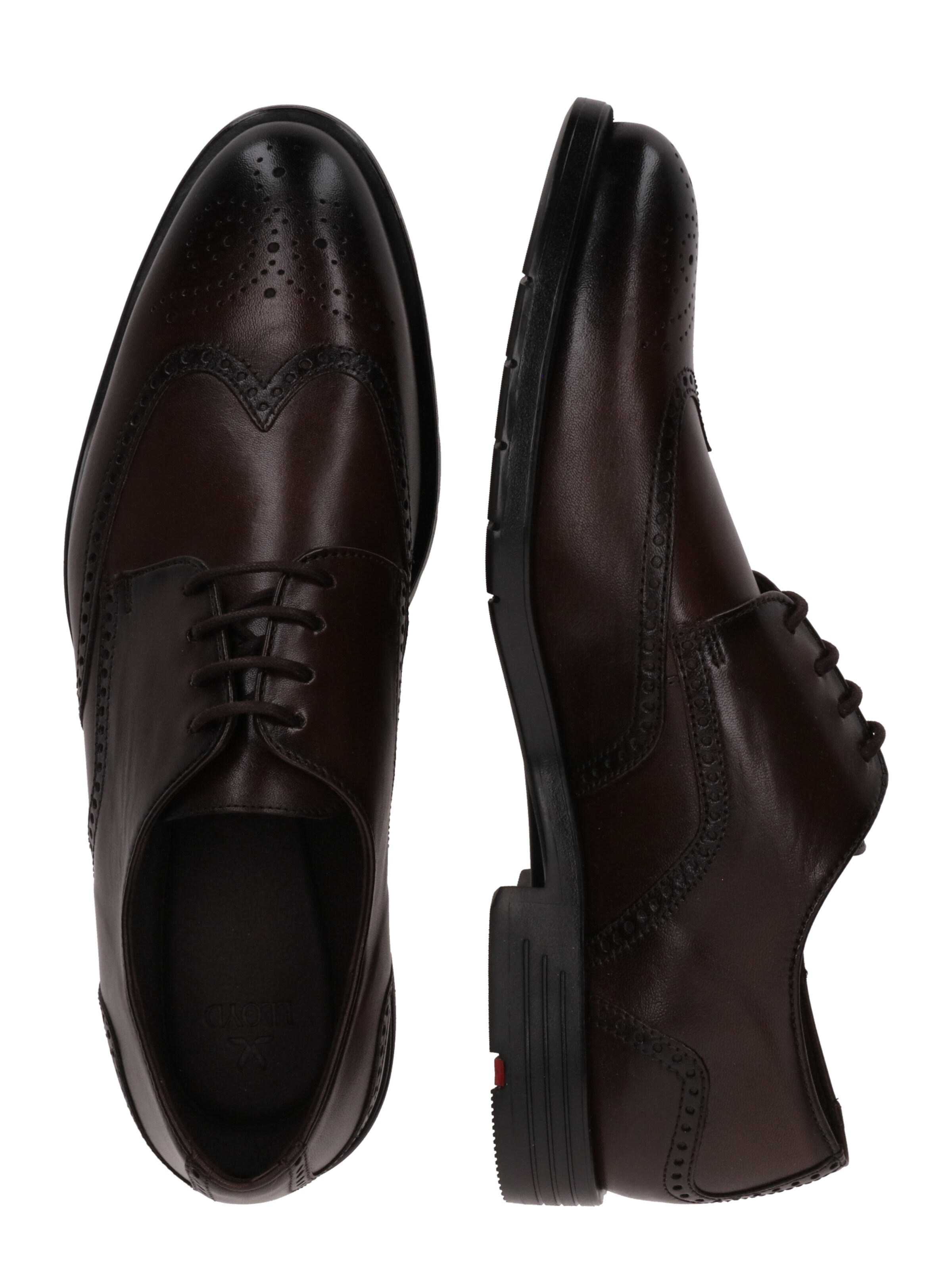 LLOYD Lace-up shoe 'EEZY 140' in Brown