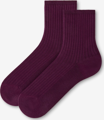 CALZEDONIA Socks in Purple: front