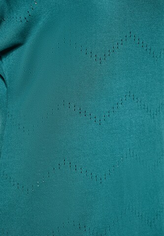 usha FESTIVAL Pullover in Grün