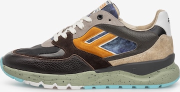 Sneaker bassa 'De Treener 01' di Floris van Bommel in grigio: frontale