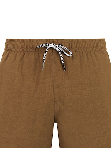 PROTEST Badeshorts 'DAVEY' in Braun: Vorderseite