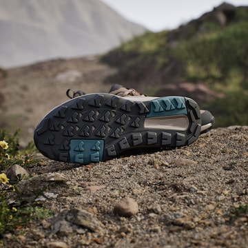 ADIDAS TERREX Χαμηλό παπούτσι 'Anylander' σε καφέ