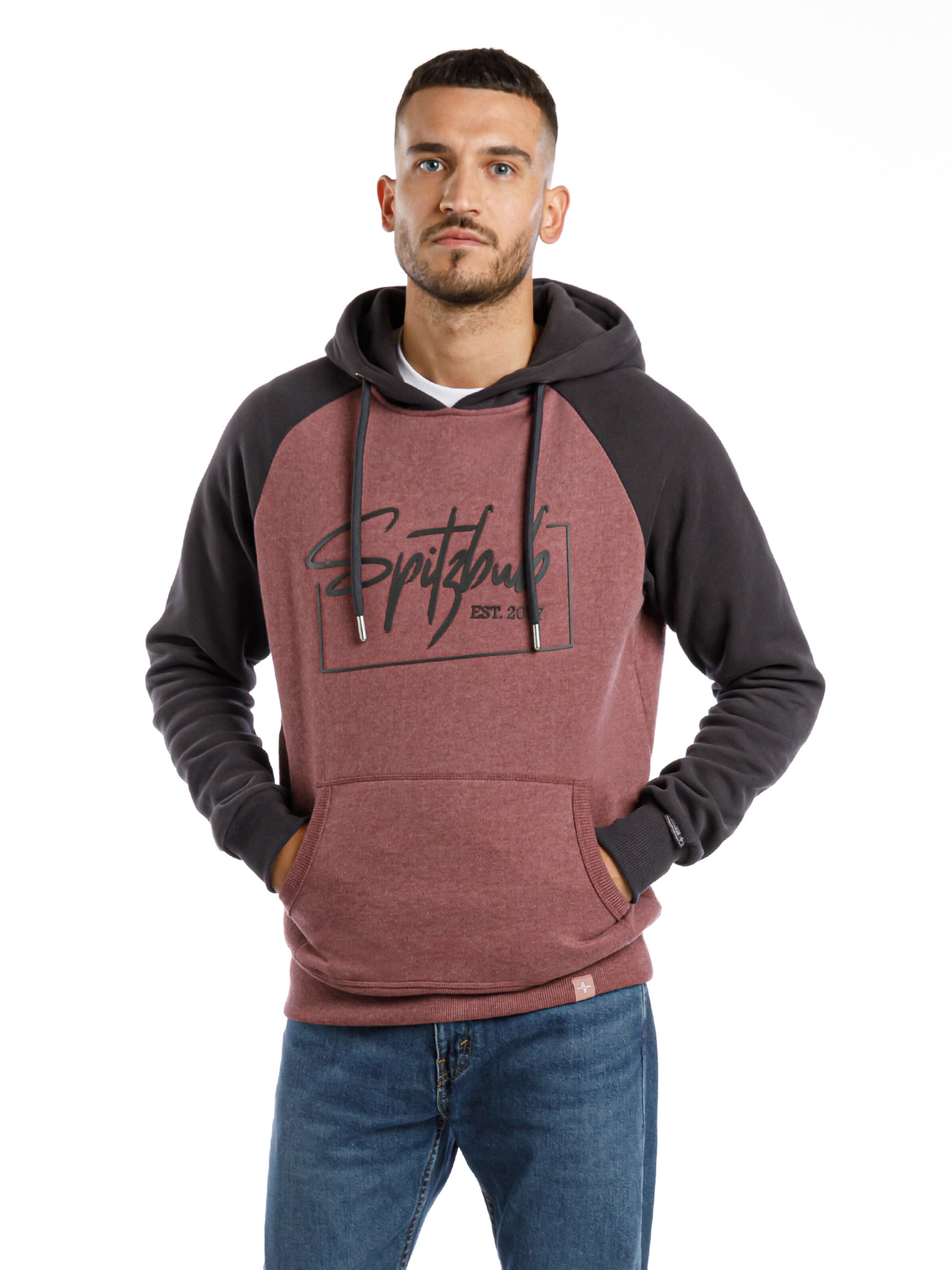 SPITZBUB Sweatshirt 'Raglan Street' in Grey: front