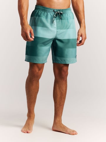 PROTEST Badeshorts 'PRTLomond'‌‌‌ in Grün