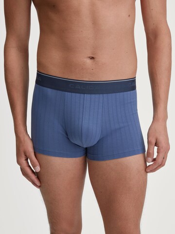 CALIDA Boxer shorts 'Pure & Style' in Blue