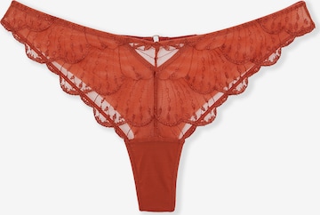 String di ETAM in rosso: frontale