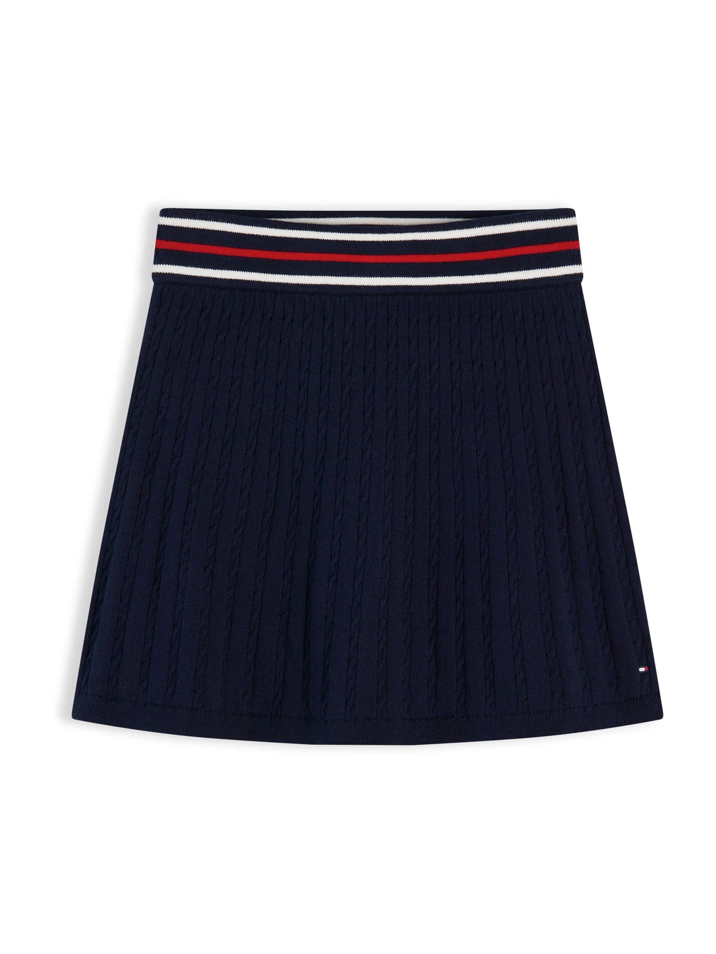 TOMMY HILFIGER Skirt in Blue: front