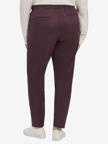 SHEEGO Slim fit Chino Pants in Brown