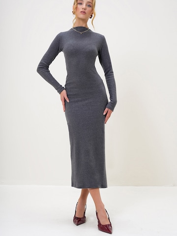 Robes en maille Trend Alaçatı Stili en gris : devant