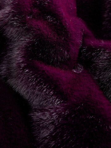 Next - Abrigo en lila