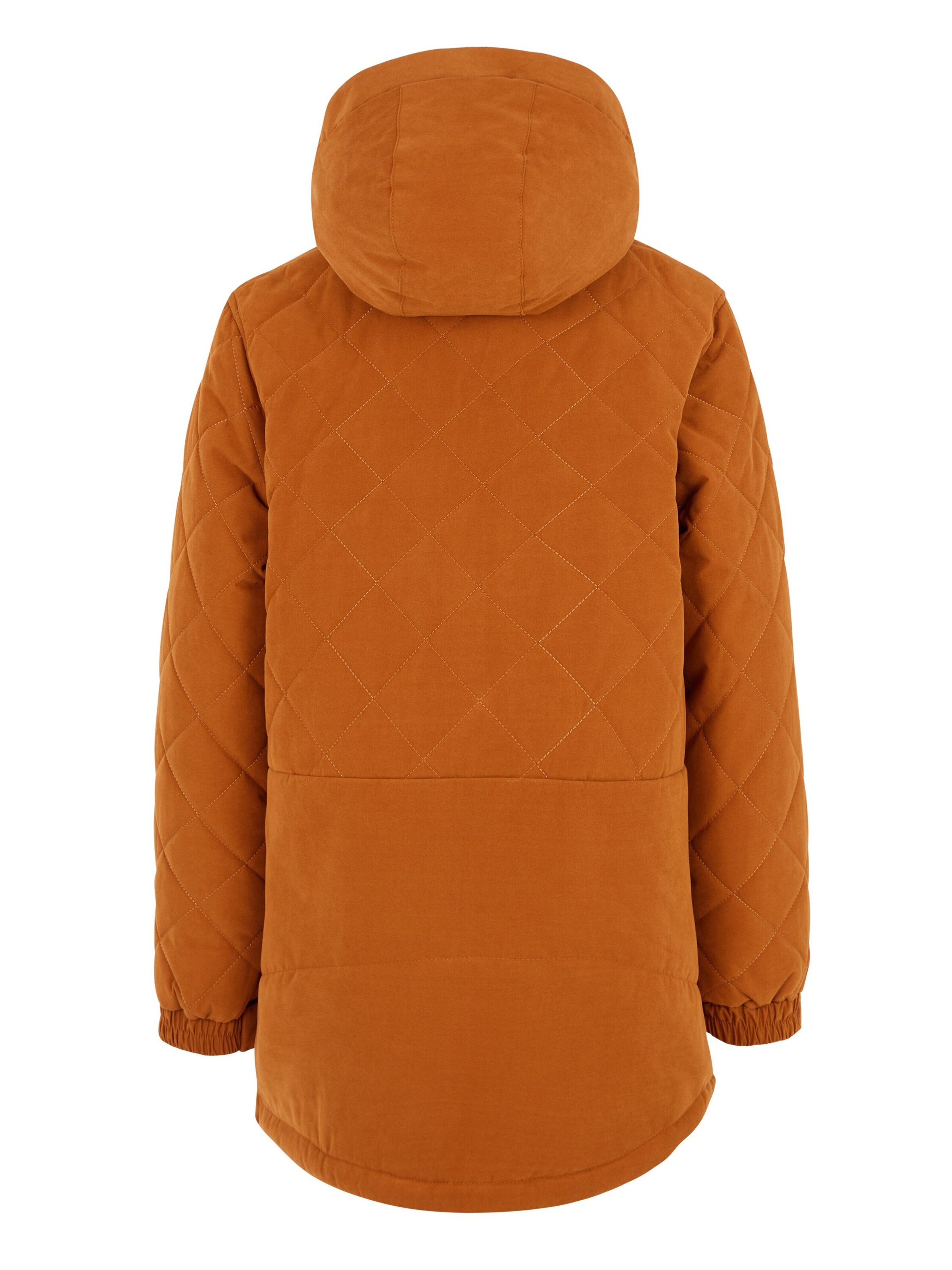 PROTEST Athletic Jacket 'PRTTAMIRES JR' in Brown