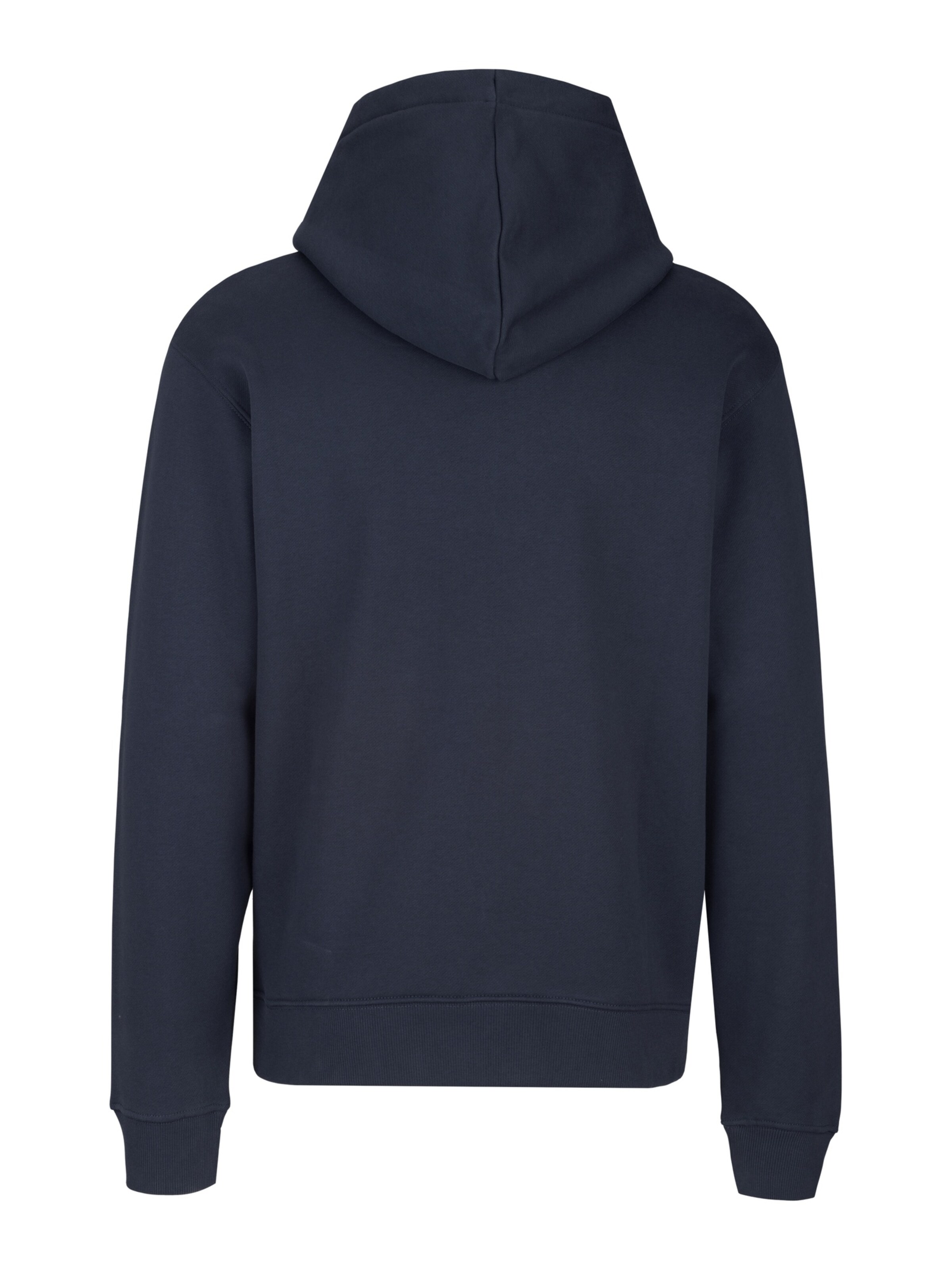 REPLAY Sweatshirt in Blue