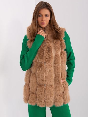 Madnezz House Weste in Beige: Vorderseite