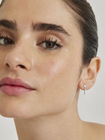 Luxenter Earrings 'Nelan' in Silver