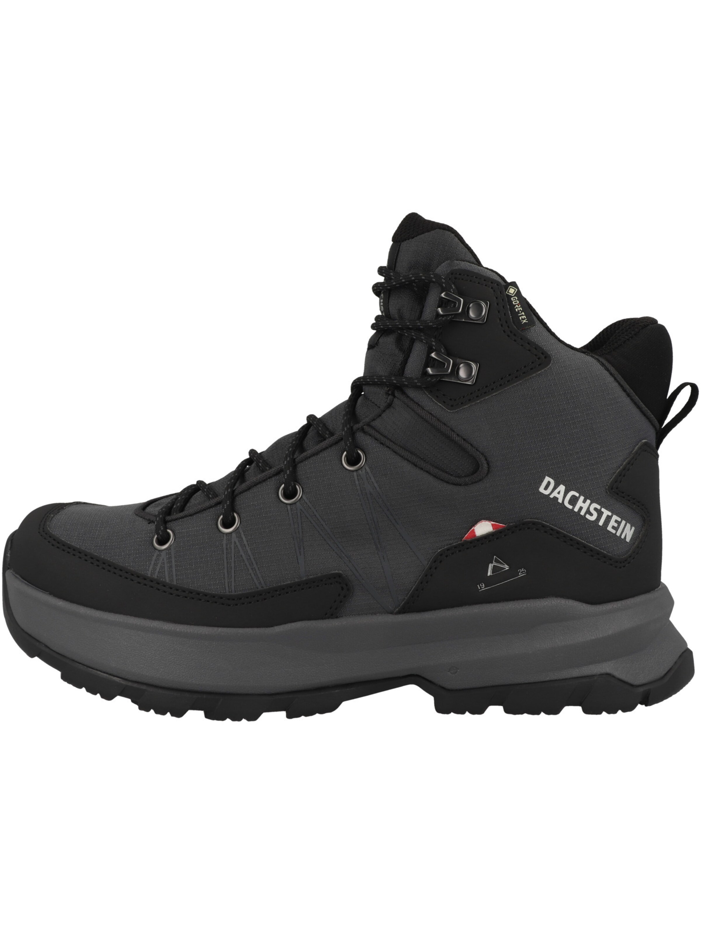 Chaussure basse Dachstein en noir : devant