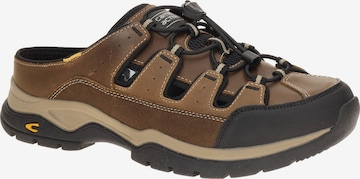 CAMEL ACTIVE Clogs 'Bud Two' in Braun: Vorderseite