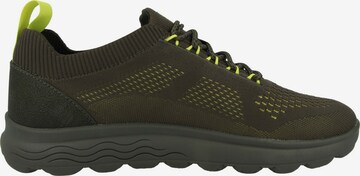 Sneaker bassa 'Spherica' di GEOX in verde