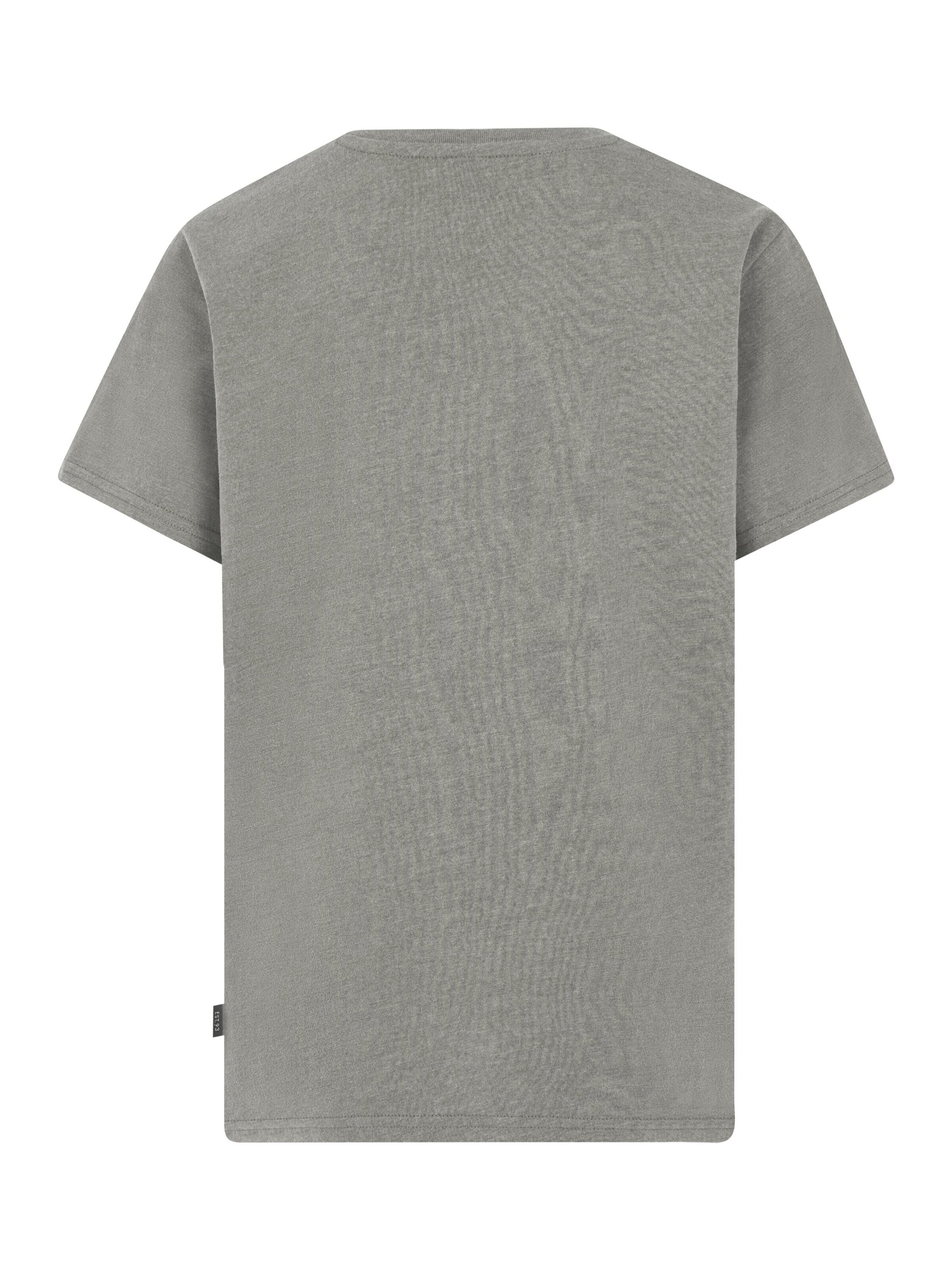 PROTEST Shirt 'PRTHunt JR' in Grey