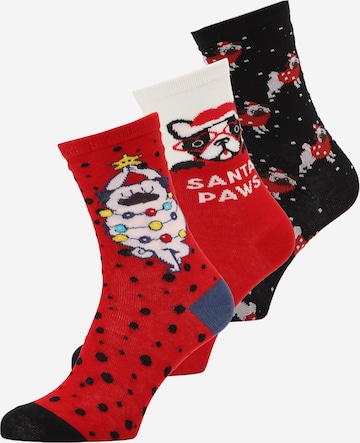 Urban Classics Sukat 'Pug Christmas' värissä punainen: etupuoli